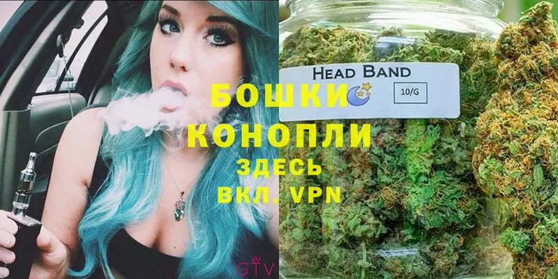 хочу   Кедровый  Каннабис семена 